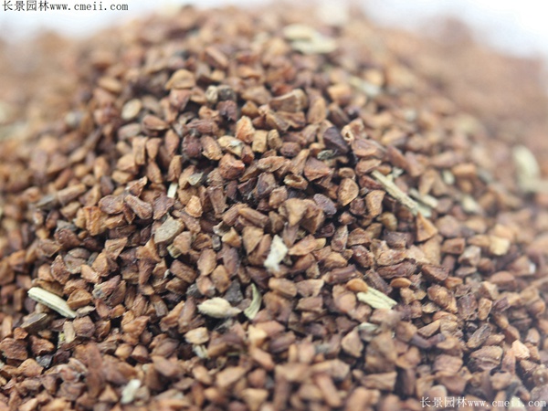 月見草種子 月見草種子