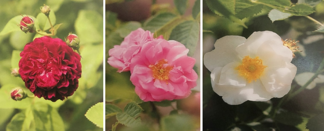 微信圖片_20230107200220.png